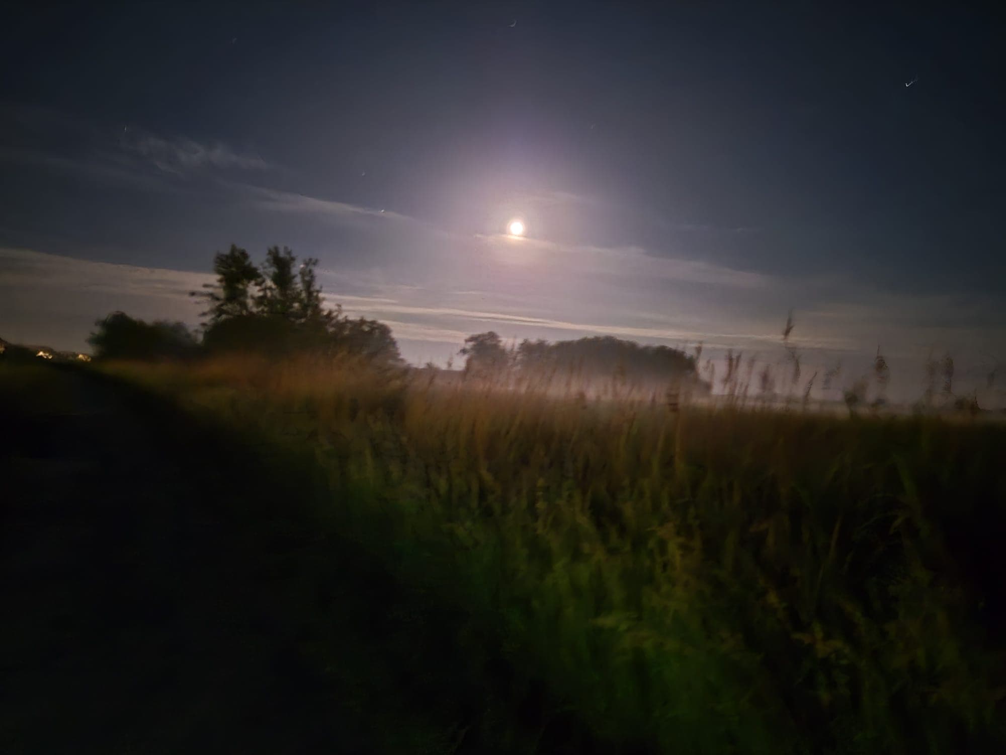 Maanlicht boven graanvelden in de avondschemering